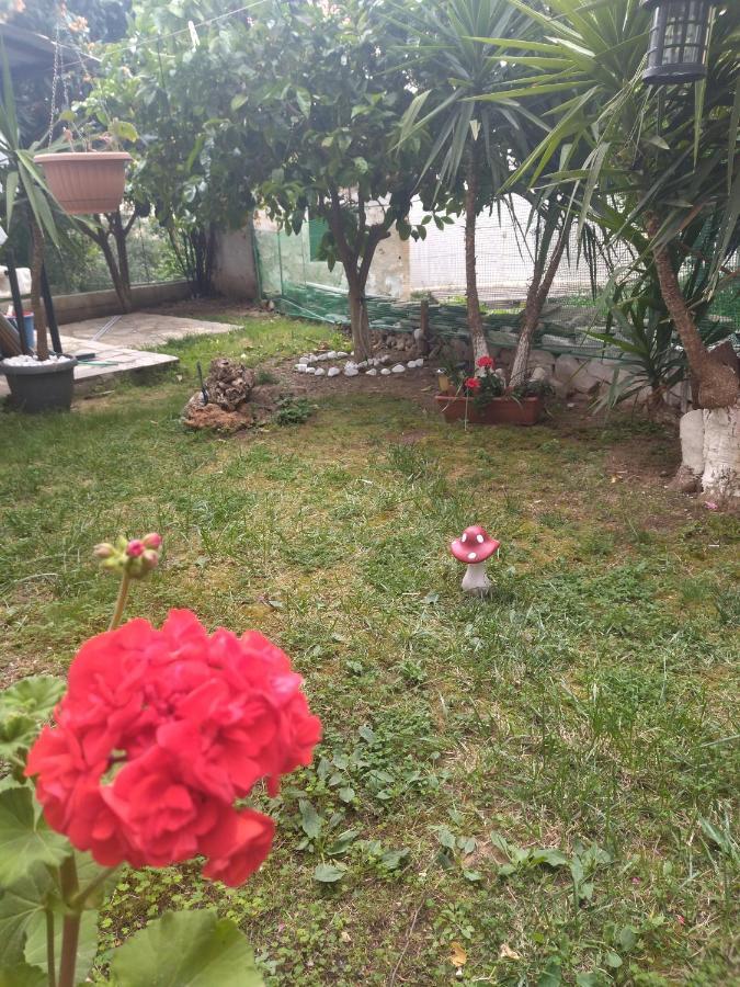 Отель Sofis Garden Кавала Номер фото